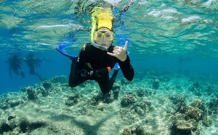 Criminal justice and political science major Amy Gersten snorkeling at the Great Barrier Reef in Australia.